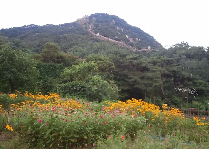 招待所 金氏旅馆 *