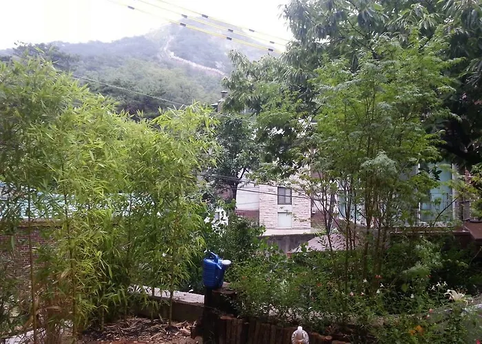 招待所 金氏旅馆